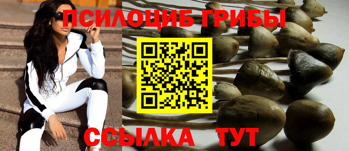 Псилоцибиновые грибы GOLDEN TEACHER Уварово